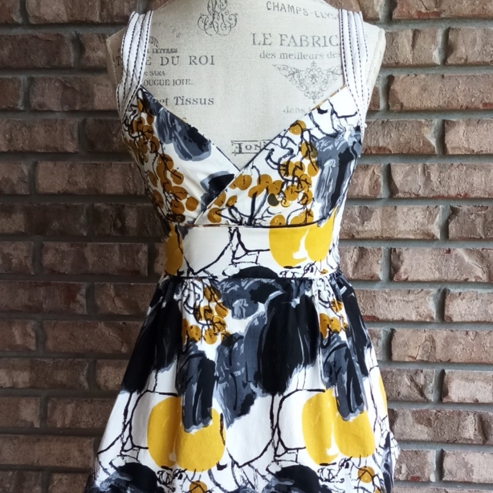 Anthropologie Viola Sleeveless Peplum Top Size 2